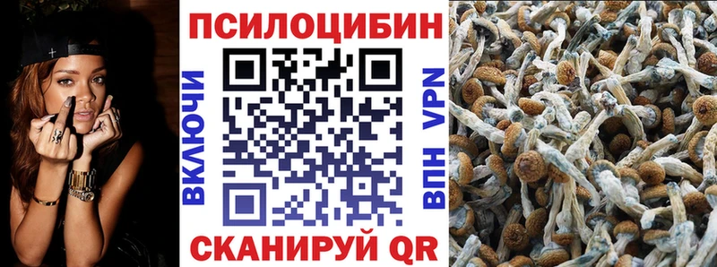 mega зеркало  Инза  Псилоцибиновые грибы прущие грибы  купить  сайты 